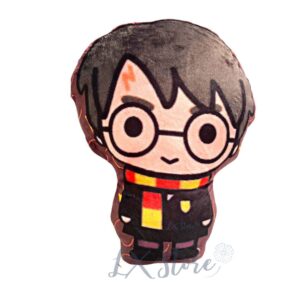 Cojin Sublimado de Harry Potter